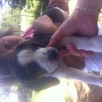 Photo #257045 de Sky