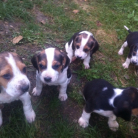 Photo #257056 de Sky