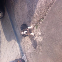 Photo #257061 de Sky