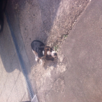 Photo #257065 de Sky