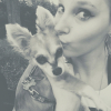 Photo de l'animal n°34547