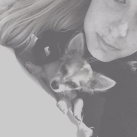 Photo de l'animal n°34547