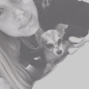 Photo de l'animal n°34547