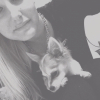 Photo de l'animal n°34547