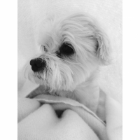 Photo #257138 de Diego