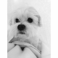 Photo #257139 de Diego
