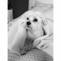 Photo #257140 de Diego