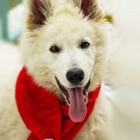 Photo #257255 de Jek