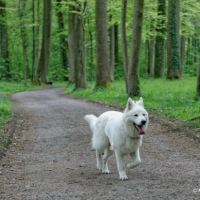 Photo #257256 de Jek