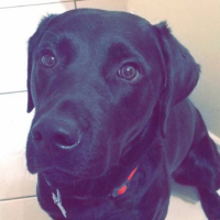 Photo #257350 de Jack