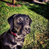 Photo #257354 de Jack