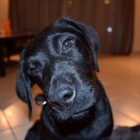Photo #257355 de Jack