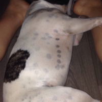 Photo #257436 de Fiona