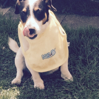 Photo #257504 de Doudou