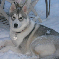 Photo #257519 de Zeus