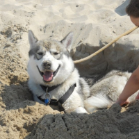 Photo #257520 de Zeus