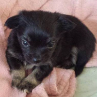 Photo #257544 de mylady