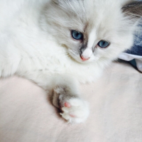 Photo #257556 de Pêche 