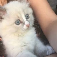 Photo #257557 de Pêche 