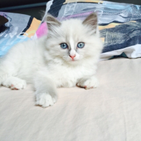 Photo #257559 de Pêche 