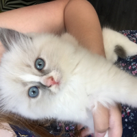 Photo #257560 de Pêche 