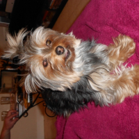 Photo #257637 de enza