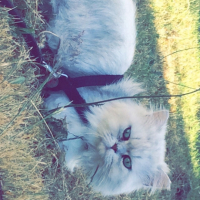 Photo #257683 de Ivane