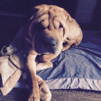 Photo #257712 de Lila