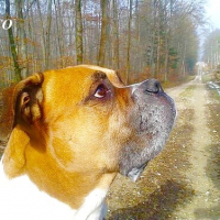 Photo #257783 de Paco