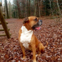Photo #257784 de Paco