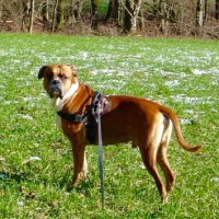 Photo #257785 de Paco