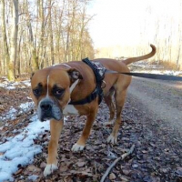 Photo #257786 de Paco