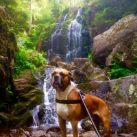 Photo #257789 de Paco