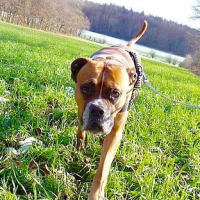 Photo #257790 de Paco