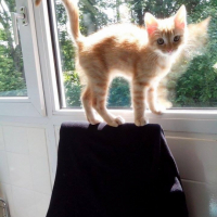 Photo #257803 de titou