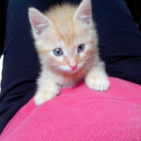 Photo #257814 de titou