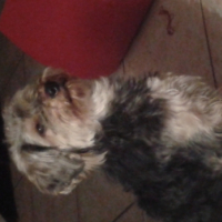 Photo #257816 de Cincé Milia