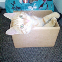 Photo #257819 de titou