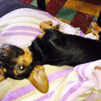 Photo #257827 de Kenza 