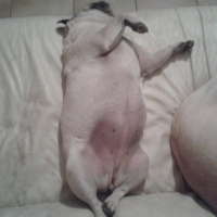 Photo #257955 de lizie
