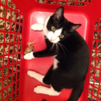Photo #258118 de Georgy