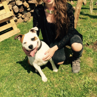 Photo #258192 de Enya 
