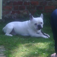 Photo #258340 de Deacon