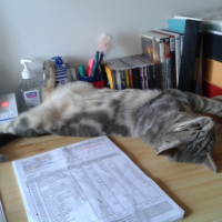 Photo #258348 de Anakin