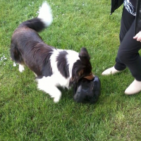 Photo #258469 de Aaronn