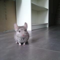 Photo #258498 de Ben