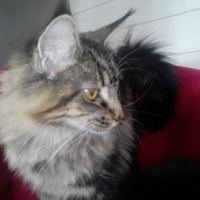 Photo #258554 de Jilou
