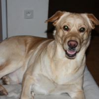 Photo #258586 de Kinsgton