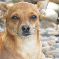 Photo #258697 de KOOKI