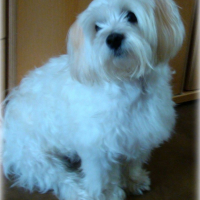 Photo #258753 de Maxou
